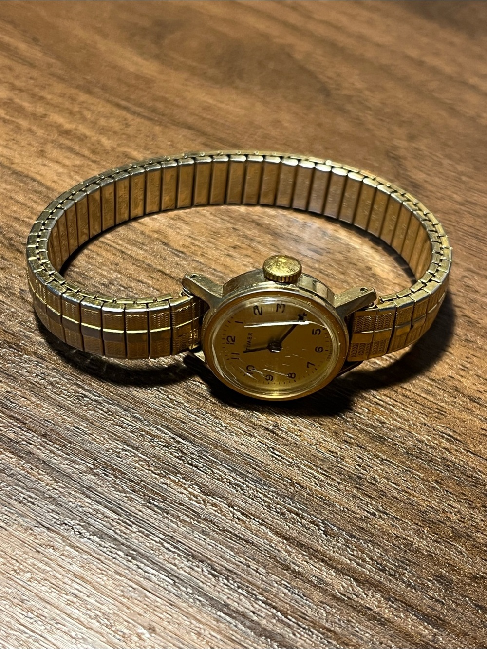 Vintage Timex Watch